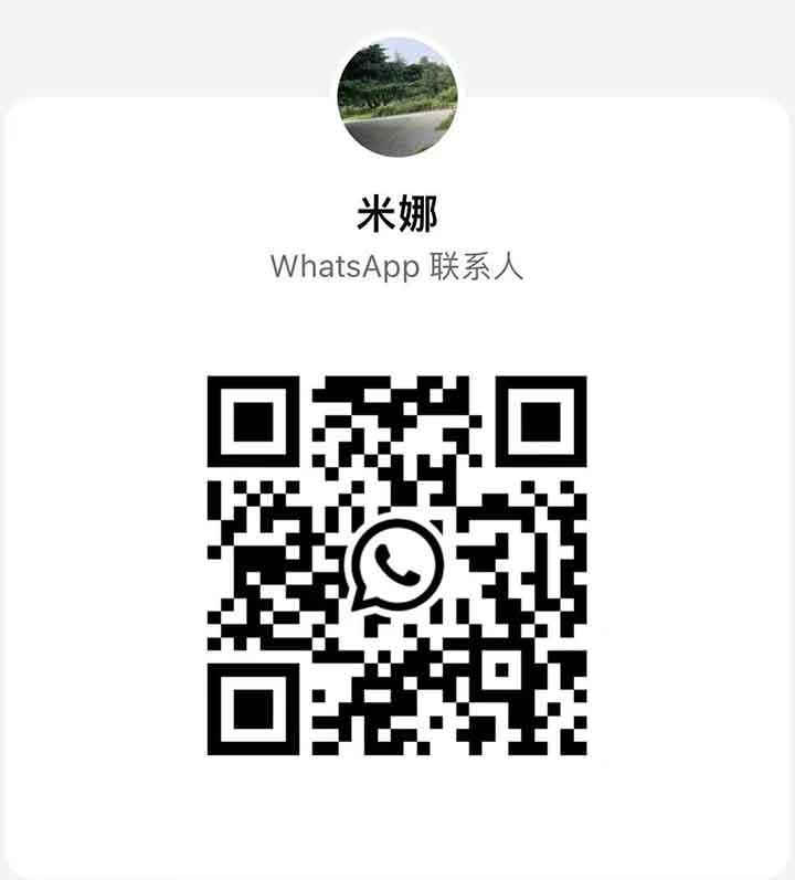甲洞新唐朝米娜WhatsApp.jpg