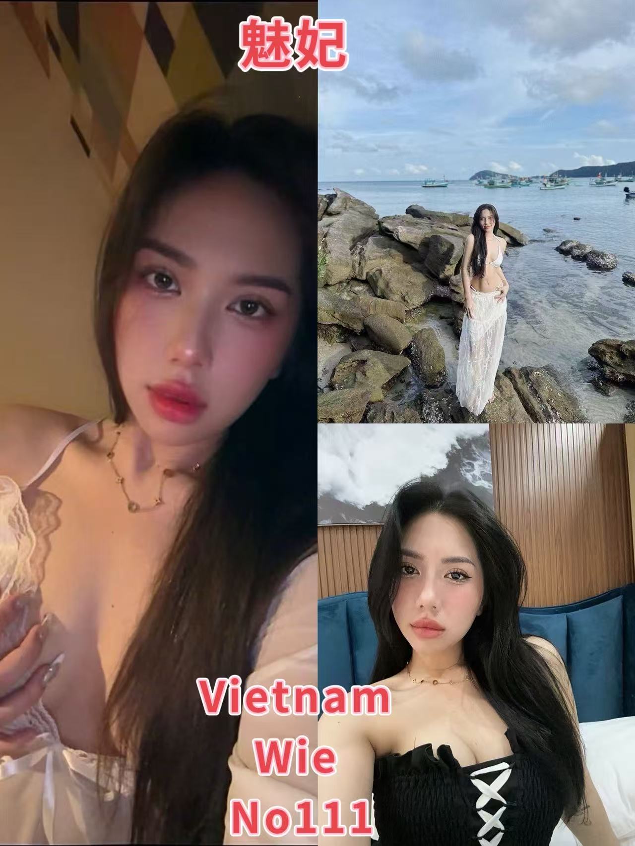 mp4cover.jpg
