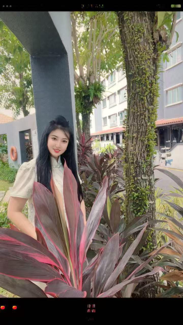 BJ养舒阁小花 (3).jpg